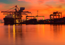 Label free marine formulations