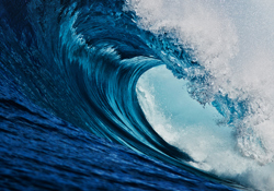 Marine fuel quality survey