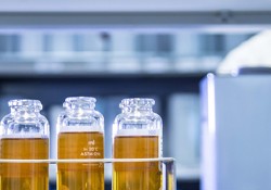 Lubricant trends - category.jpg