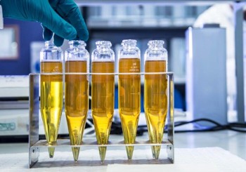 Api Engine Oil Testing Lab Infineum Insight | API Engine Oil Classifications brochure