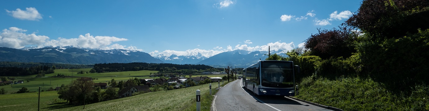 Videos - category.jpg