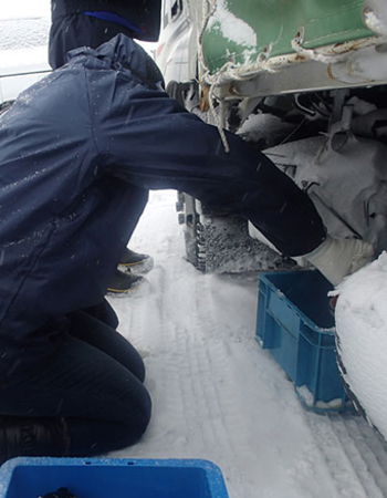 Infineum winter field trial inspection