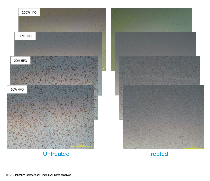 microscopy images