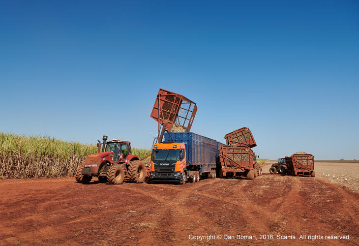 Truck and Sugar cane