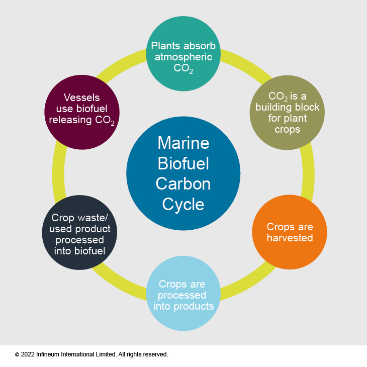 Marine biofuel carbon cycle