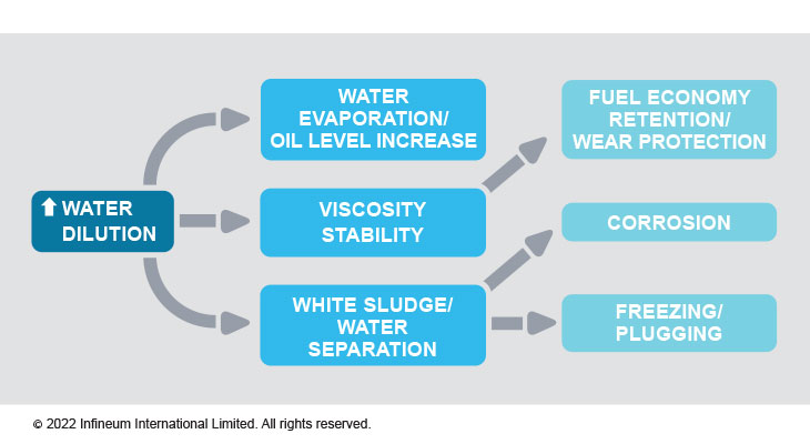 water dilution impact