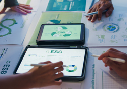 The business case for sustainability