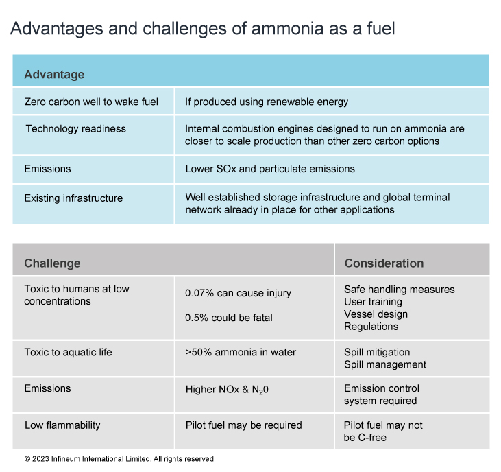 Ammonia advantages and disadvantages table
